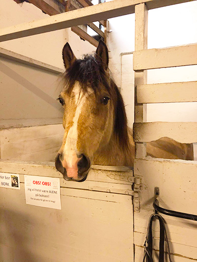 Et unikt tilbud til barn med Autisme og ADHD